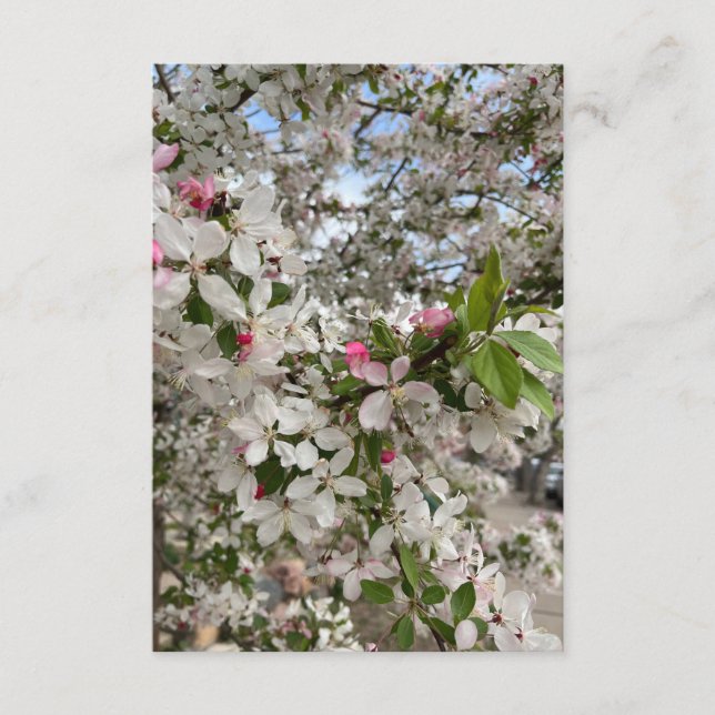 Tarjeta De Recepción Spring flower (Anverso)