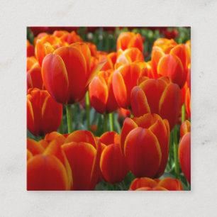Tarjeta De Recepción Tulipanes