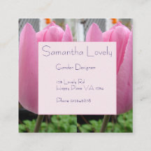 Tulipano rosa Tulips Plaza de Jardín St