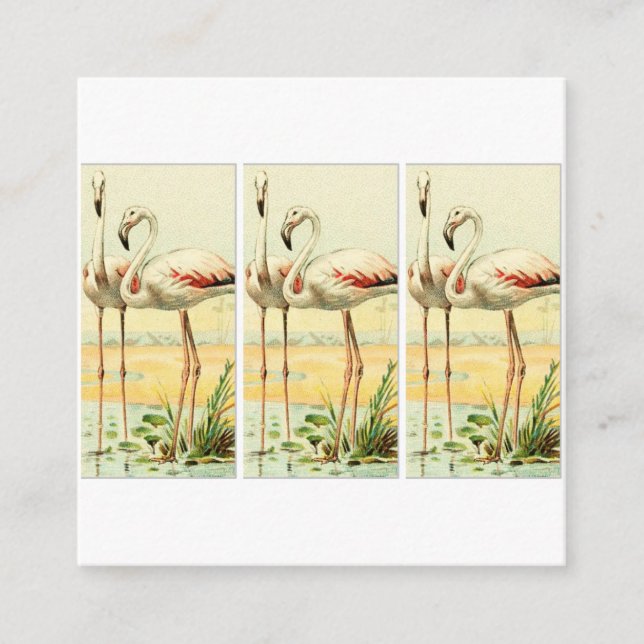 Tarjeta De Recepción Vintage Flamingo (Anverso)
