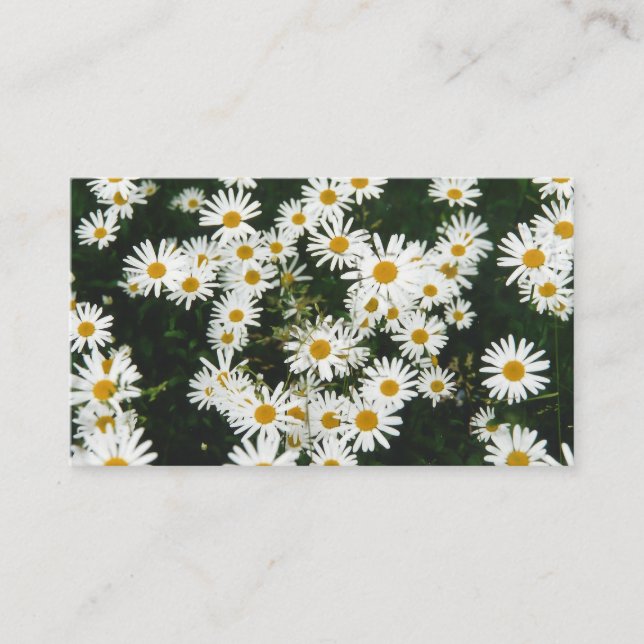 Tarjeta De Recepción White Oxeye Daisy, Moon Daisy Meadow (Anverso)