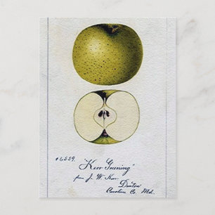 Tarjeta de receta de Apple para vinos