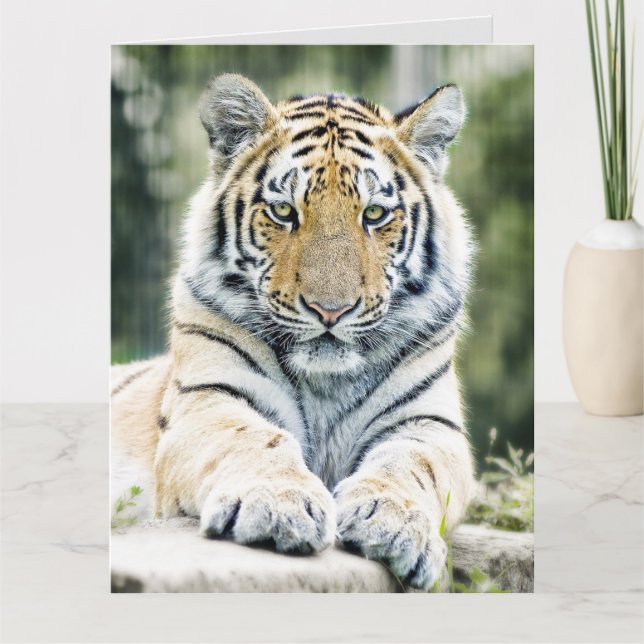 TARJETA DE RECIBIMIENTO DE BENGAL TIGER ART BIRTHD (Anverso)