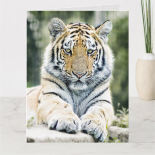 TARJETA DE RECIBIMIENTO DE BENGAL TIGER ART BIRTHD