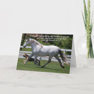TARJETA DE RECIBIMIENTO DE CABALLO Y PERRO