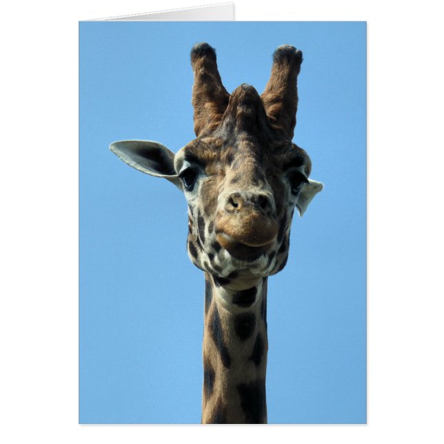 TARJETA DE RECIBIMIENTO DE GIRAFFE (Frente)