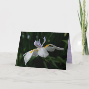 TARJETA DE RECIBIMIENTO DE "iris de hadas"