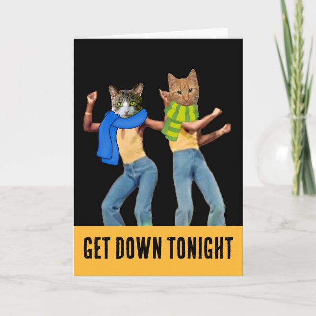 TARJETA DE RECIBIMIENTO DE LOS GATOS DE DISCO (Anverso)
