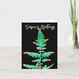 TARJETA DE RECIBIMIENTO DE TEMPORADA DE TOMATE TRE