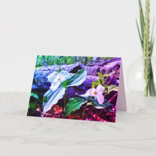TARJETA DE RECIBIMIENTO DE TRILLIUMS RAINBOW