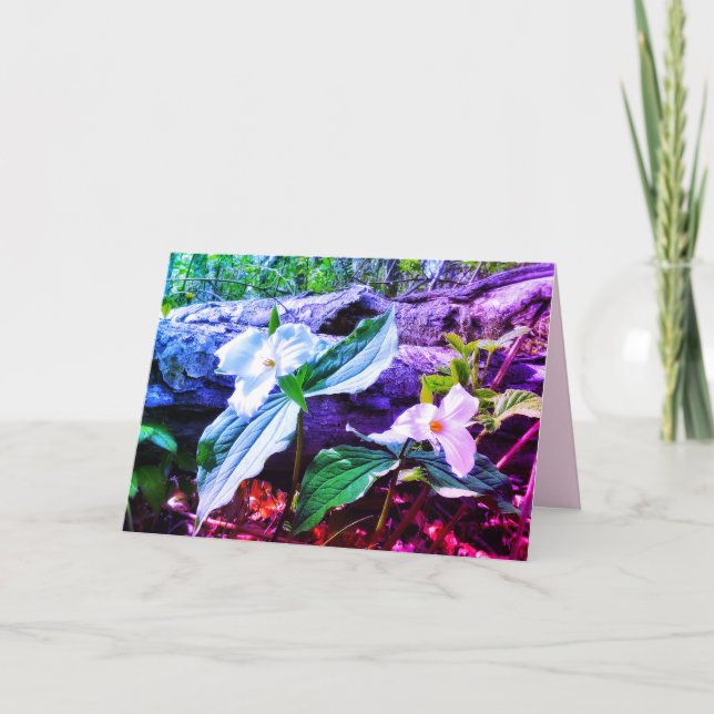 TARJETA DE RECIBIMIENTO DE TRILLIUMS RAINBOW (Anverso)
