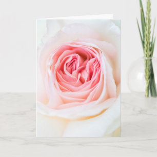 TARJETA DE RECIBIMIENTO FLORAL "BLANCO ROSO FLOWER