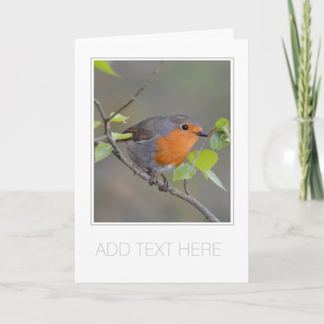 TARJETA DE RECOGIDA "ROBIN REDBREAST" PERSONALIZAB (Anverso)