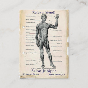 Tarjeta De Recomendación Dibujo Vintage de Anatomía Anterior