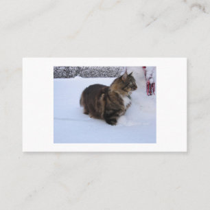Tarjeta De Recomendación gato del bosque noruego en la nieve