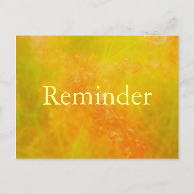 tarjeta de recordatorio de cita profesional del na (Anverso)