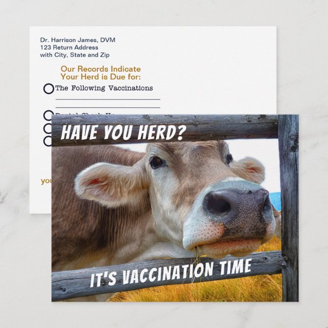Tarjeta de recordatorio de vacunación veterinaria  (Anverso / Reverso)