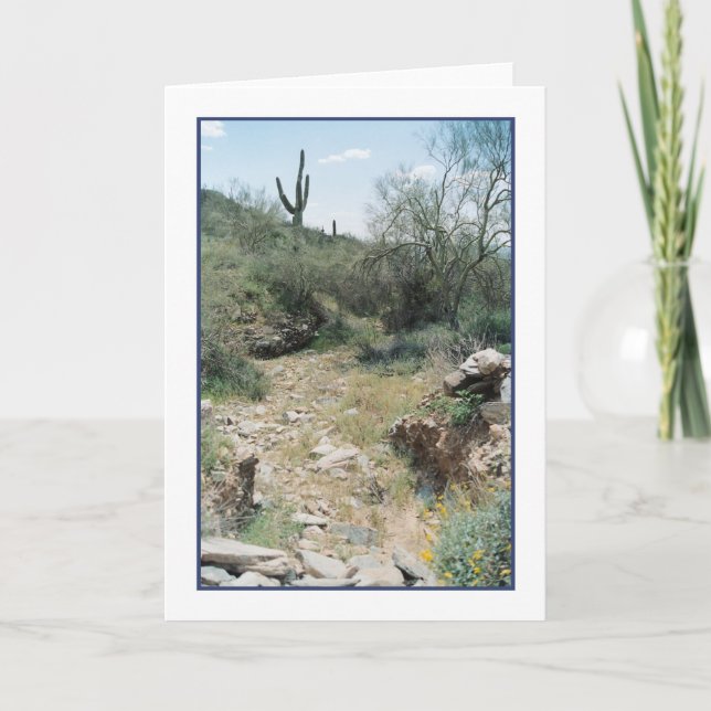 Tarjeta de recuerdo de lecho de río (Anverso)