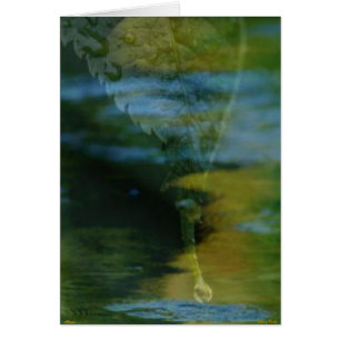 Tarjeta de recuerdos