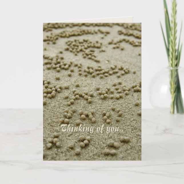 Tarjeta de Recuerdos de Beach Visions (Anverso)