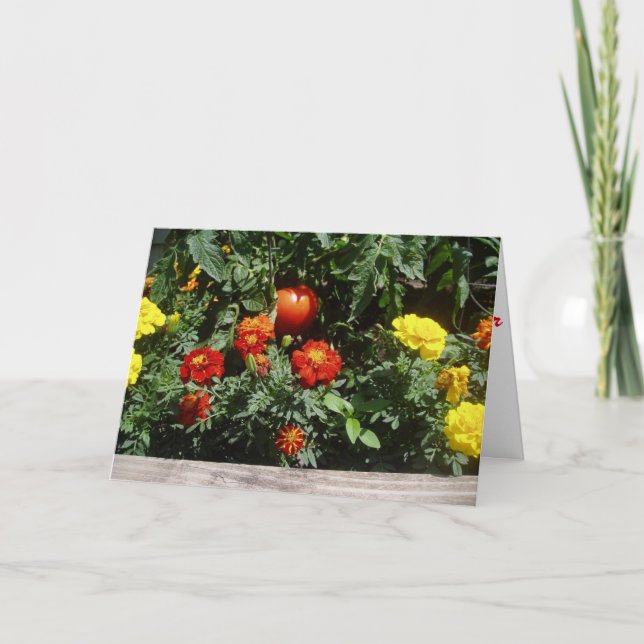 Tarjeta de recuperación "Como una pelota de goma r (Anverso)