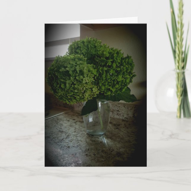 Tarjeta de "Recuperación" de "Annabelle Hydrangea" (Anverso)