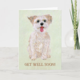 Tarjeta de Recuperación de Galleta Dulce