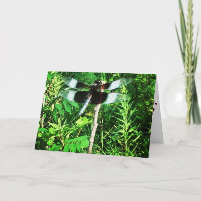 Tarjeta de recuperación "Dragonfly" (Anverso)