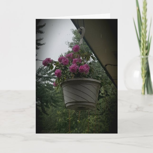 Tarjeta de recuperación "Geranios de madre" (Anverso)