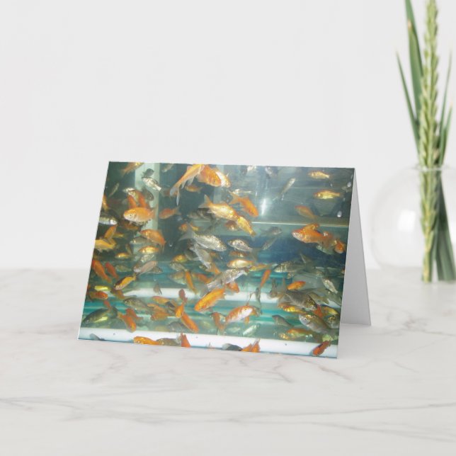 Tarjeta de recuperación "Goldfish" (Anverso)