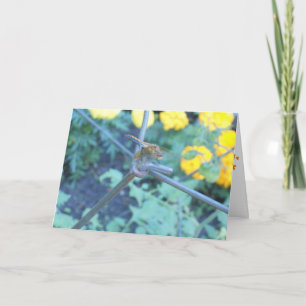 Tarjeta de recuperación "Jardín de libélulas" #1