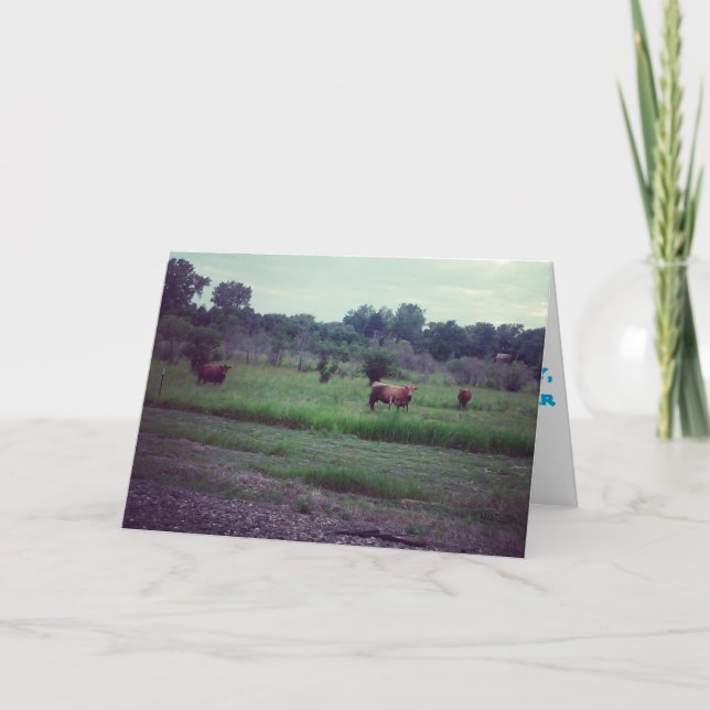 Tarjeta de recuperación "Manada de Vacas" (Anverso)