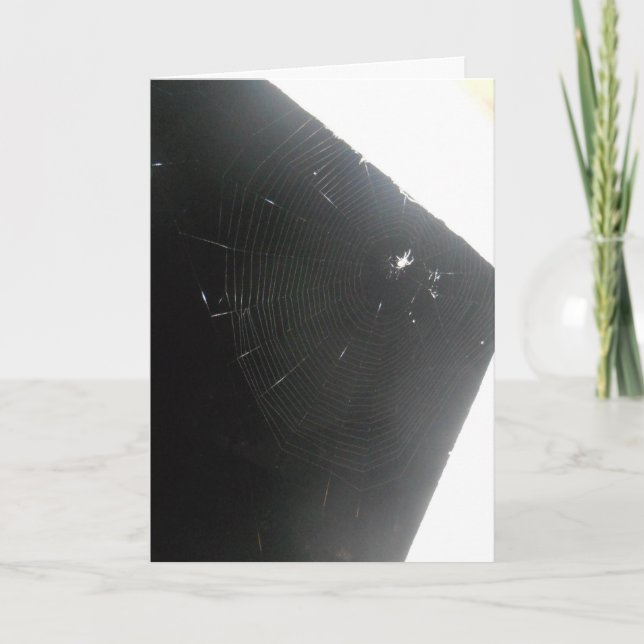 Tarjeta de recuperación "Maplewood Spider" (Anverso)