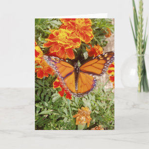 Tarjeta de recuperación "Monarca en movimiento"