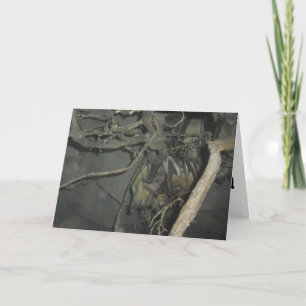 Tarjeta de recuperación "Murciélagos de frutas"