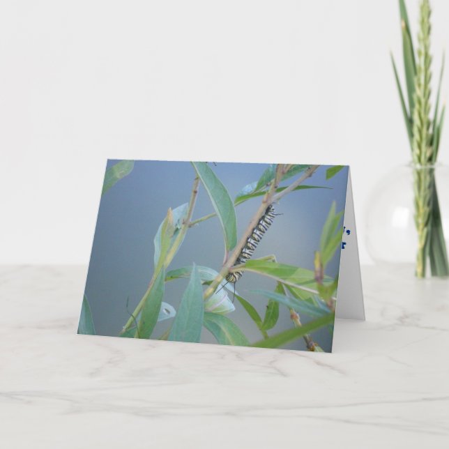Tarjeta de recuperación "Oruga Monarca #2" (Anverso)