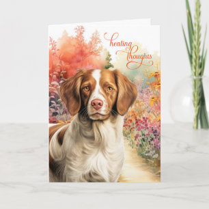 Tarjeta de recuperación para dueños de Brittany Sp