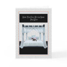 Tarjeta de recuperación para gato en cama de cuatr
