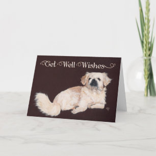Tarjeta de recuperación para Pekingese blanco