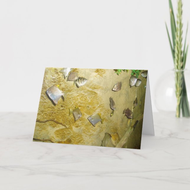 Tarjeta de recuperación "Pez tropical" (Anverso)