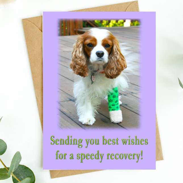 Tarjeta de recuperación rápida para desear una pro (Send speedy recovery healing vibes with this adorable dog card. )