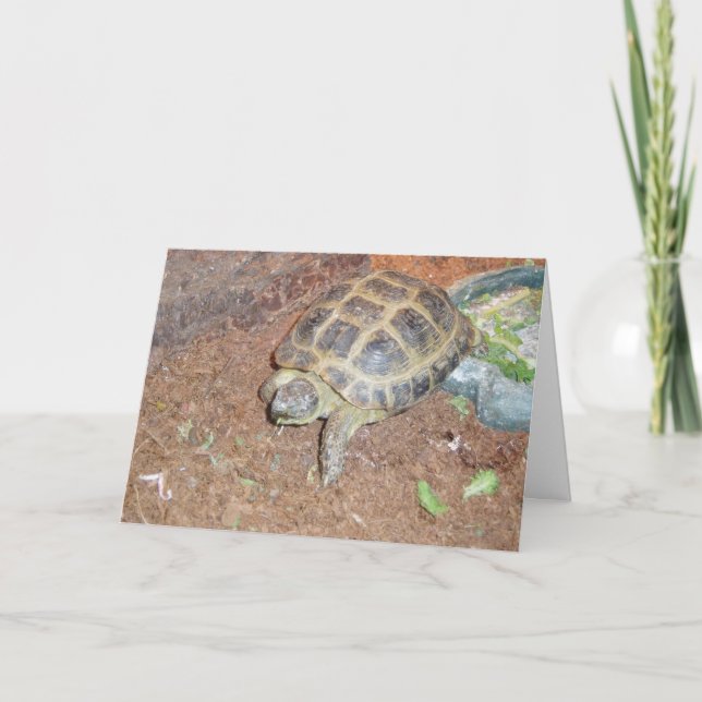 Tarjeta de recuperación "Tortura" (Anverso)