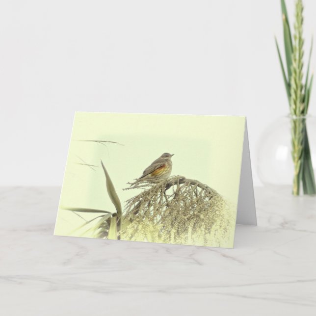 TARJETA DE REDWING (Anverso)