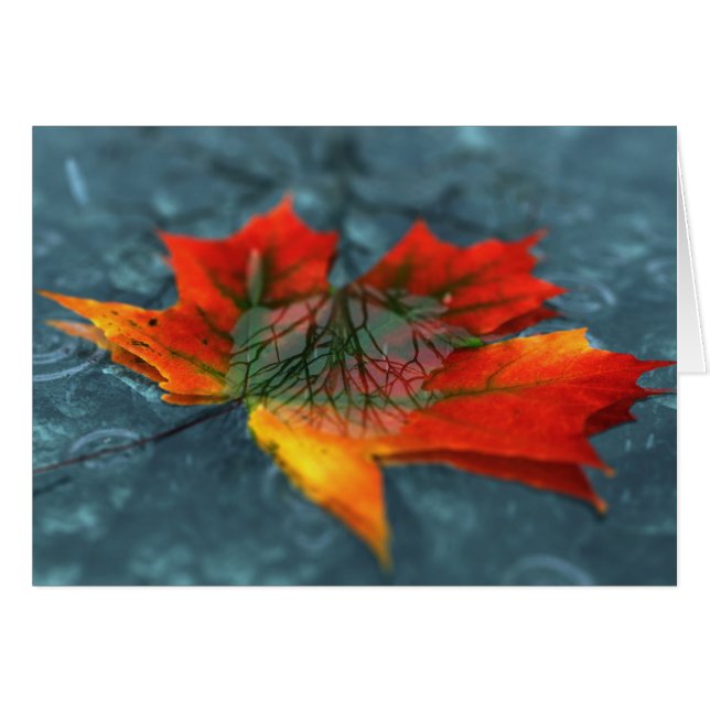 Tarjeta de reflexión (Anverso (Horizontal))