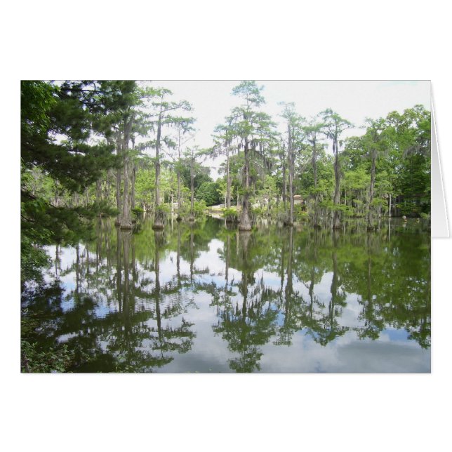 Tarjeta de reflexión de bayou (Anverso (Horizontal))