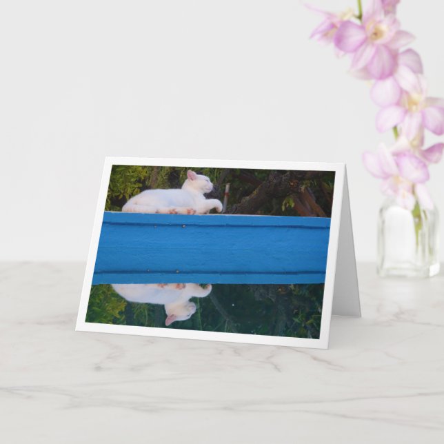 Tarjeta de reflexión de gato blanco (Orquídea)