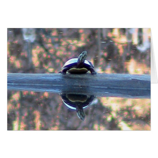 Tarjeta de reflexión de tortuga (Anverso (Horizontal))