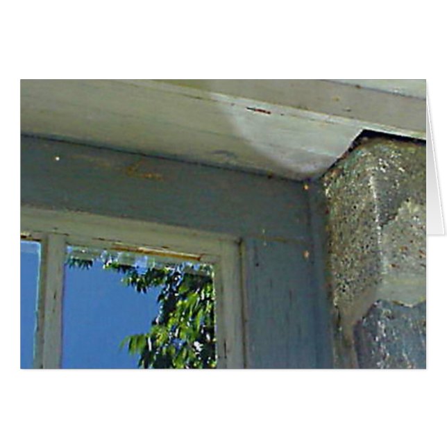 Tarjeta de reflexión de ventana (Anverso (Horizontal))