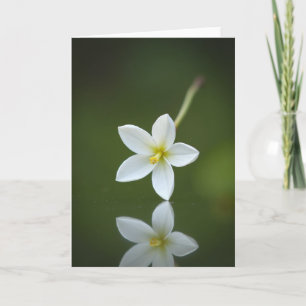 Tarjeta de Reflexión Flor de Esmeralda