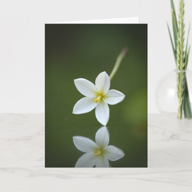 Tarjeta de Reflexión Flor de Esmeralda (Anverso)